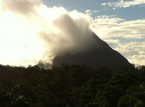 Glass On Glasshouse - Tourism Brisbane 2
