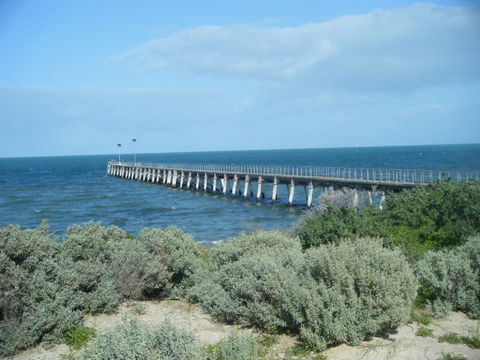 Haslam Campground - Brisbane 4u 0