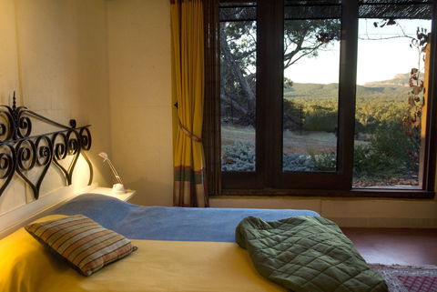 Kangaroos In The Top Paddock - Tourism Brisbane 1