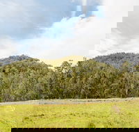 Mountain Arm campground - Brisbane Tourism