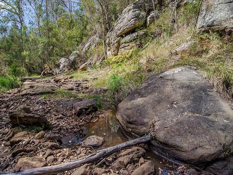 Mountain Arm Campground - Brisbane Tourism 1
