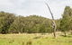 Mountain Arm Campground - thumb 2