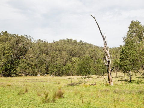 Mountain Arm Campground - Brisbane Tourism 2