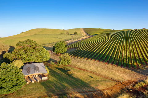 Mt Bellevue - King Valley - Brisbane Tourism 0