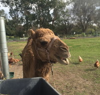 Mudgees Getaway Cottages - Tourism Brisbane