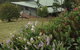 Southern Anchorage Retreat - thumb 1