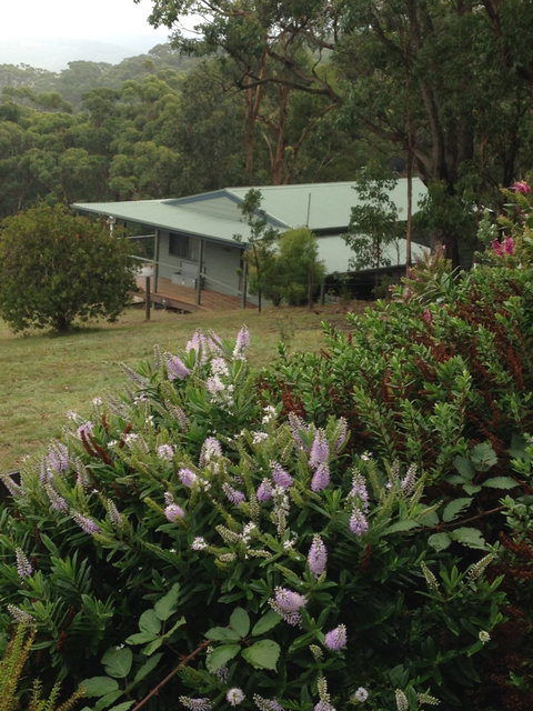 Southern Anchorage Retreat - Tourism Brisbane 1
