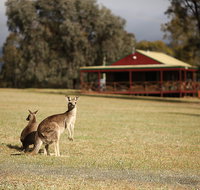 The Pokolbin Cabins - Tourism Brisbane