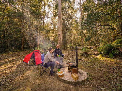 Thungutti Campground - Brisbane 4u 0