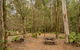 Thungutti Campground - thumb 2