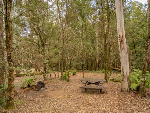 Thungutti Campground - Brisbane 4u 2