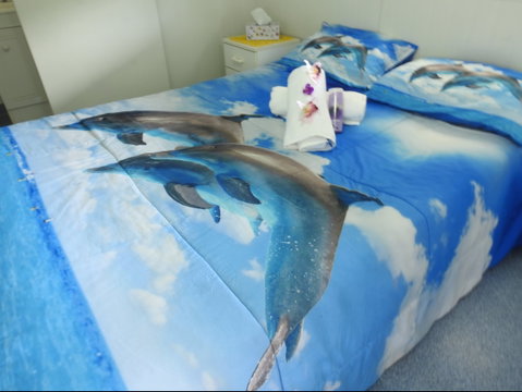 Tropicana Caravan Park Sarina - Tourism Brisbane 2