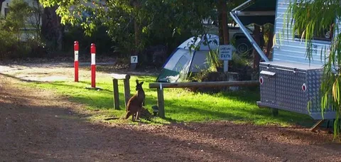Aroundtu-It Eco Caravan Park - Brisbane 4u 5