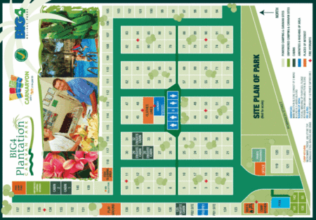 BIG4 Plantation Caravan Park - Tourism Brisbane 2