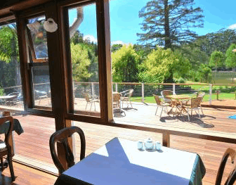 Forest Lodge Resort - Tourism Brisbane 2