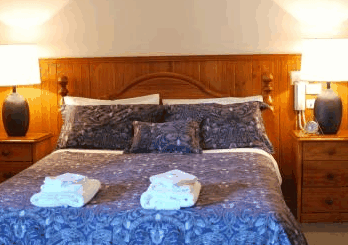 Forest Lodge Resort - Tourism Brisbane 4