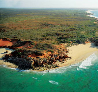 Eco Beach Wilderness Retreat - Brisbane Tourism 2