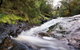 Karri Valley Resort - thumb 2