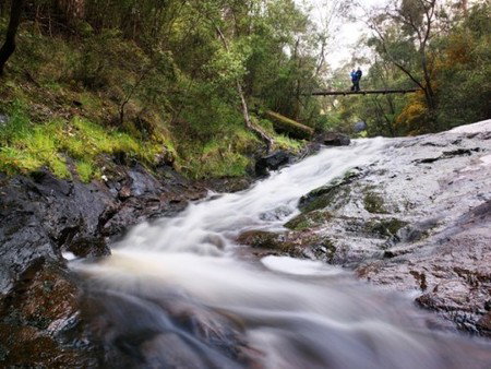 Karri Valley Resort - Tourism Brisbane 2