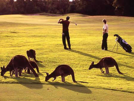 Novotel Swan Valley Vines Resort - Brisbane Tourism 1