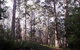 Pemberton  Forrest Cottages  - thumb 1