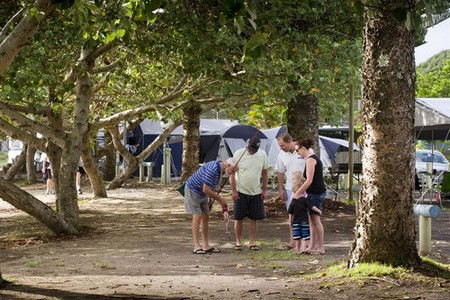 Massey Greene Holiday Park - Brisbane Tourism 5