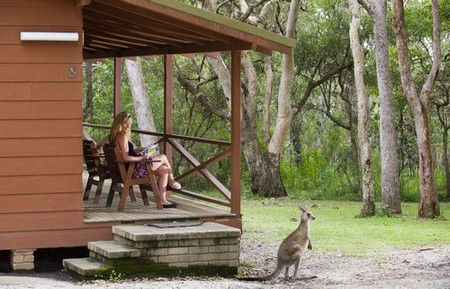 Hungry Head Cabins - Tourism Brisbane 1