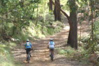 Craigmhor Mountain Retreat - Brisbane 4u 2