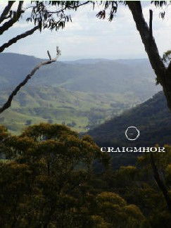 Craigmhor Mountain Retreat - Brisbane 4u 3