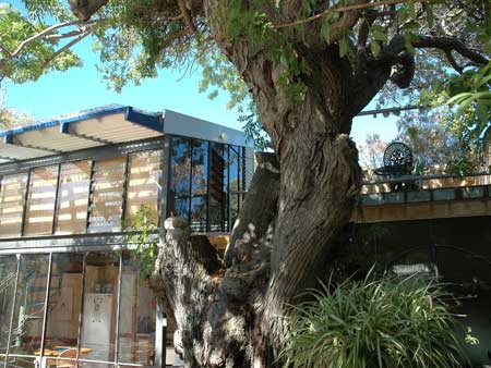 The Painted Fish - Brisbane Tourism 3