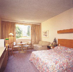 Country Comfort Armidale - Tourism Brisbane 3