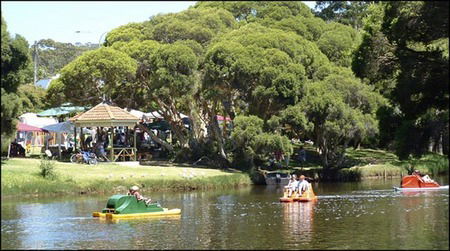 Misty Valley Country Cottages - Brisbane Tourism 2