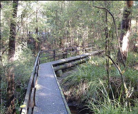 Misty Valley Country Cottages - Brisbane Tourism 3