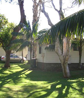 Arrawarra Beach Holiday Park - Brisbane Tourism 1