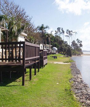 Arrawarra Beach Holiday Park - Brisbane Tourism 2