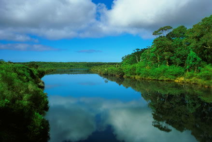 Nutkin Lodge - Brisbane Tourism 3