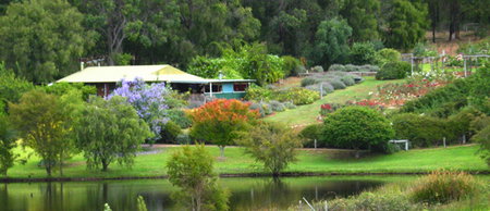 Pemberton Lavender And Berry Farm Cafe And Cottages - Tourism Brisbane 0