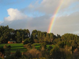 Pemberton Lavender And Berry Farm Cafe And Cottages - Tourism Brisbane 3