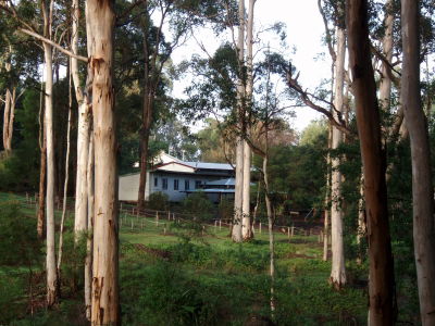 Pemberton Camp School - Tourism Brisbane 5