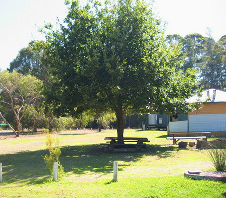 Pemberton Forest Stay - Tourism Brisbane 3