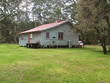 Pemberton Forest Stay - Tourism Brisbane 5