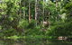 Peppermint Grove Retreat - thumb 0