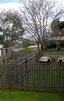 Helens House - Tourism Brisbane 2