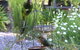 Glenhaven Bed And Breakfast - thumb 1