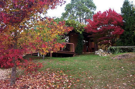 Eucalyptus House - Tourism Brisbane 0
