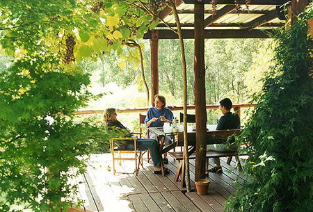 Eucalyptus House - Tourism Brisbane 2