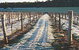 Treen Ridge Vineyard Accommodation - thumb 1