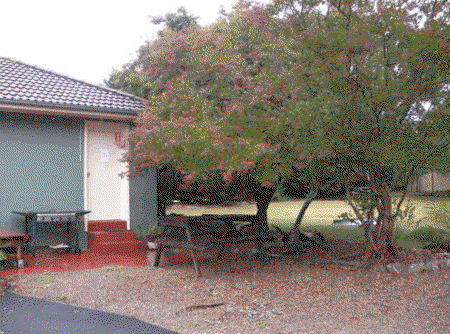 Bargo Motor Inn - Tourism Brisbane 1