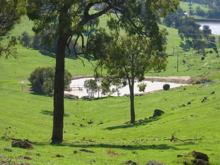 Vista Ridge Estate - Top Paddock Cottage - Tourism Brisbane 3
