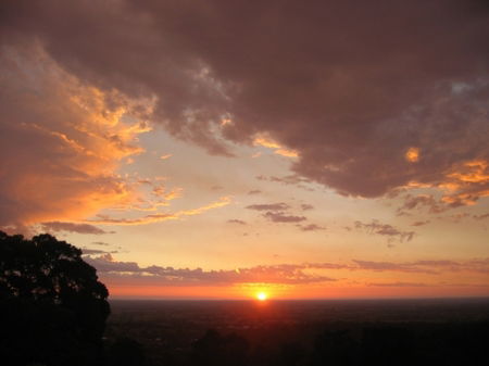 Vista Ridge Estate - Top Paddock Cottage - Tourism Brisbane 5